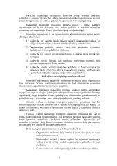 Strateginio planavimo esmė ir reikšmė 5 puslapis