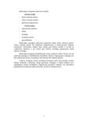 Strateginio planavimo esmė ir reikšmė 9 puslapis