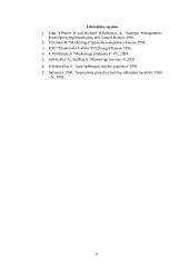 Strateginio planavimo esmė ir reikšmė 10 puslapis