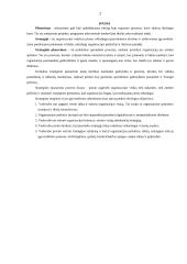 Strateginio planavimo esmė, procesas ir įgyvendinimas 2 puslapis