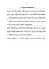 Strateginio planavimo esmė, procesas ir įgyvendinimas 4 puslapis