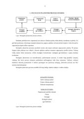 Strateginio planavimo esmė, procesas ir įgyvendinimas 5 puslapis