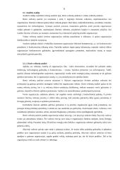 Strateginio planavimo esmė, procesas ir įgyvendinimas 6 puslapis