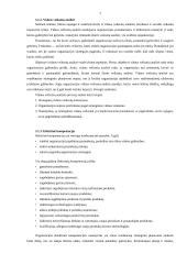 Strateginio planavimo esmė, procesas ir įgyvendinimas 7 puslapis