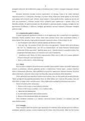 Strateginio planavimo esmė, procesas ir įgyvendinimas 9 puslapis