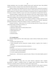 Strateginio planavimo esmė, procesas ir įgyvendinimas 10 puslapis