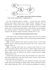 Strateginio planavimo ir valdymo teoriniai aspektai 11 puslapis