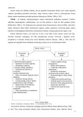 Strateginio planavimo ir valdymo teoriniai aspektai 12 puslapis