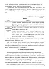 Strateginio planavimo ir valdymo teoriniai aspektai 13 puslapis