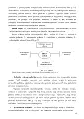 Strateginio planavimo ir valdymo teoriniai aspektai 14 puslapis