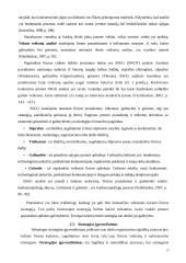 Strateginio planavimo ir valdymo teoriniai aspektai 17 puslapis