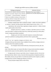 Strateginio planavimo ir valdymo teoriniai aspektai 19 puslapis