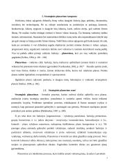 Strateginio planavimo ir valdymo teoriniai aspektai 3 puslapis