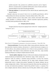 Strateginio planavimo ir valdymo teoriniai aspektai 5 puslapis
