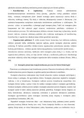 Strateginio planavimo ir valdymo teoriniai aspektai 6 puslapis