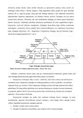 Strateginio planavimo ir valdymo teoriniai aspektai 7 puslapis