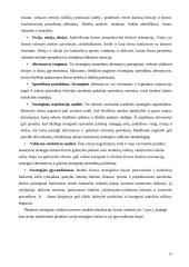 Strateginio planavimo ir valdymo teoriniai aspektai 10 puslapis