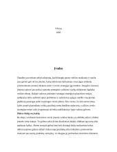 Strateginio valdymo samprata 2 puslapis