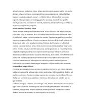 Strateginio valdymo samprata 3 puslapis