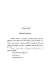 Strateginio valdymo samprata 4 puslapis