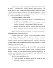 Strateginio valdymo samprata 5 puslapis