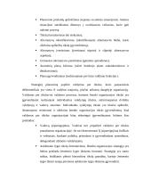 Strateginio valdymo samprata 6 puslapis