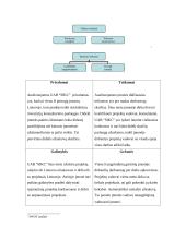Strateginio valdymo samprata 9 puslapis