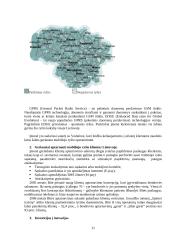 Strateginis auditas: UAB "Bitė Lietuva" 11 puslapis