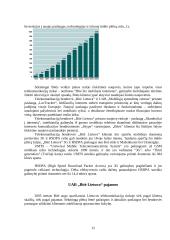 Strateginis auditas: UAB "Bitė Lietuva" 12 puslapis