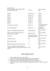 Strateginis auditas: UAB "Bitė Lietuva" 13 puslapis