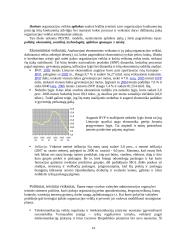 Strateginis auditas: UAB "Bitė Lietuva" 14 puslapis