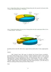 Strateginis auditas: UAB "Bitė Lietuva" 17 puslapis