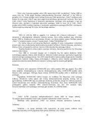 Strateginis auditas: UAB "Bitė Lietuva" 18 puslapis