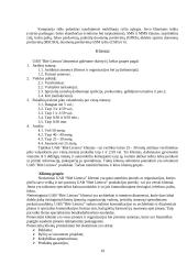 Strateginis auditas: UAB "Bitė Lietuva" 19 puslapis