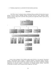 Strateginis auditas: UAB "Bitė Lietuva" 20 puslapis