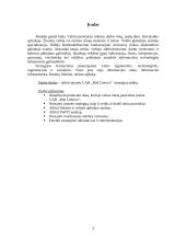 Strateginis auditas: UAB "Bitė Lietuva" 3 puslapis