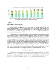 Strateginis auditas: UAB "Bitė Lietuva" 6 puslapis