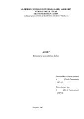 Strateginis planas:  UAB "Bitė"