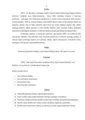 Strateginis planas:  UAB "Bitė" 2 puslapis