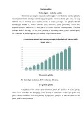 Strateginis planas:  UAB "Bitė" 3 puslapis