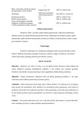 Strateginis planas:  UAB "Bitė" 5 puslapis