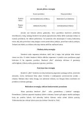 Strateginis planas:  UAB "Bitė" 6 puslapis