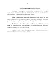 Strateginis planas:  UAB "Bitė" 7 puslapis