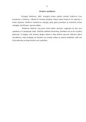 Strateginis planas:  UAB "Bitė" 8 puslapis