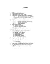 Strateginis planas: kirpykla UAB "Glorija" 2 puslapis