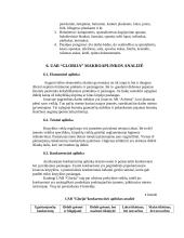 Strateginis planas: kirpykla UAB "Glorija" 11 puslapis
