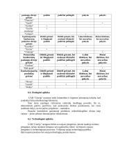 Strateginis planas: kirpykla UAB "Glorija" 12 puslapis