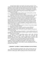 Strateginis planas: kirpykla UAB "Glorija" 15 puslapis