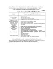 Strateginis planas: kirpykla UAB "Glorija" 16 puslapis