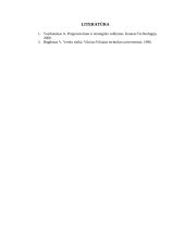 Strateginis planas: kirpykla UAB "Glorija" 18 puslapis